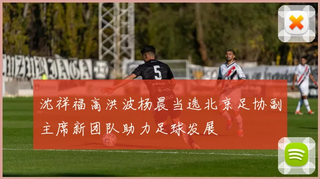 沈祥福高洪波杨晨当选北京足协副主席新团队助力足球发展