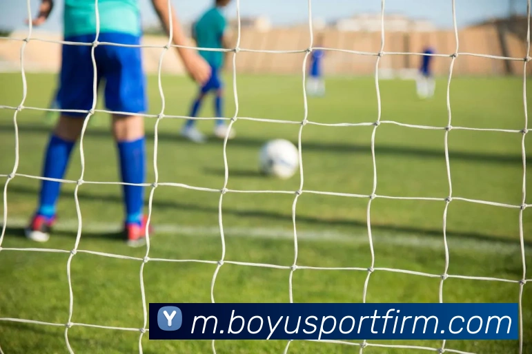 博鱼体育平台生态图