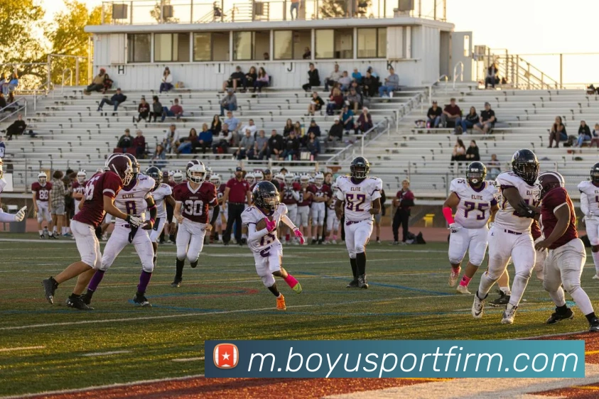 博鱼体育APP 封面图